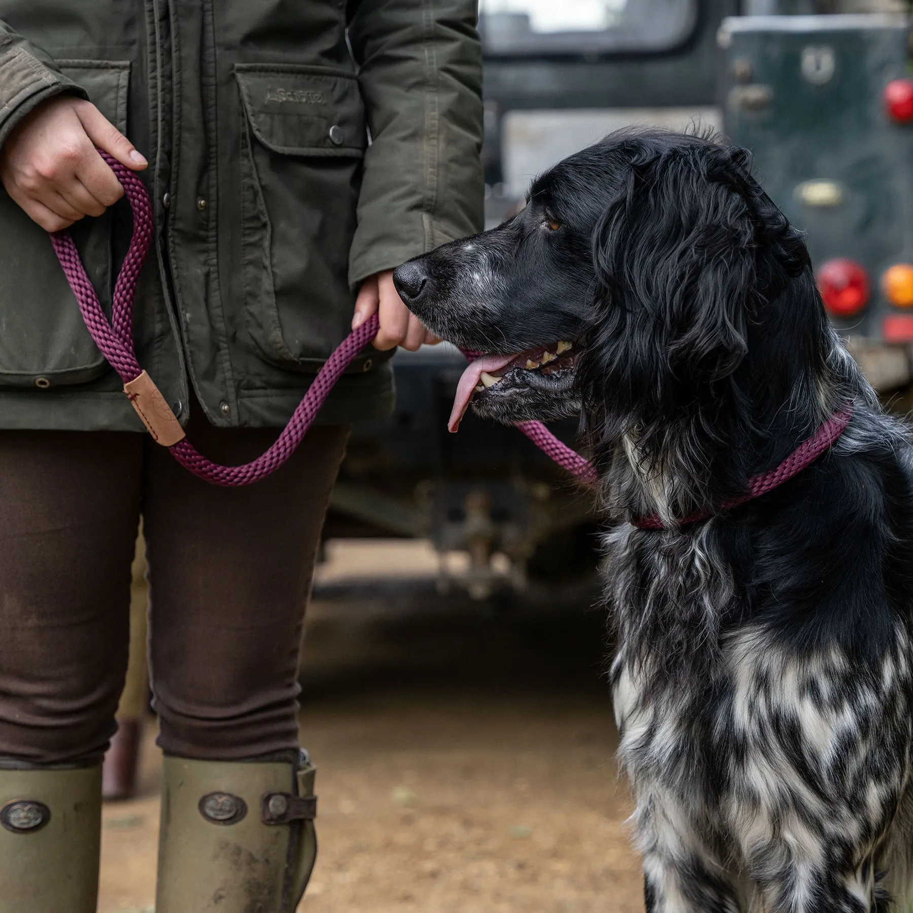 Dog Leads - Burgundy