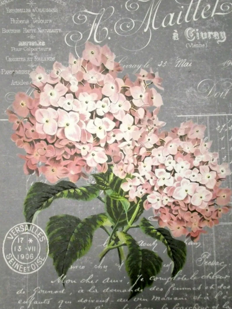 Paris decor, Paris sign, French Country decor, Pink Hydrangea sign